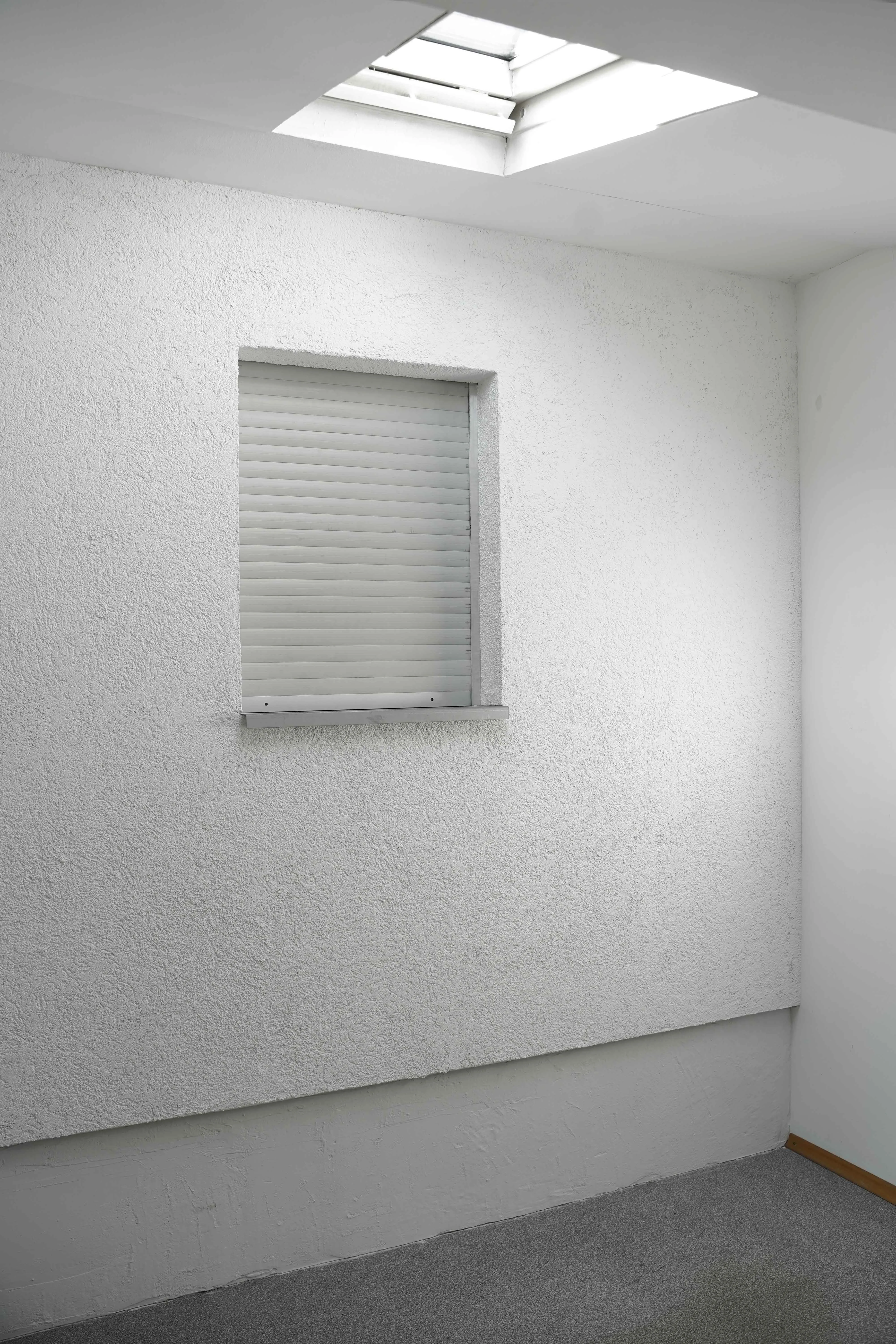 Was bellt er denn, der Hund, Benedikt Waldmann, KFZ - Kunst für Zukunft, 2025