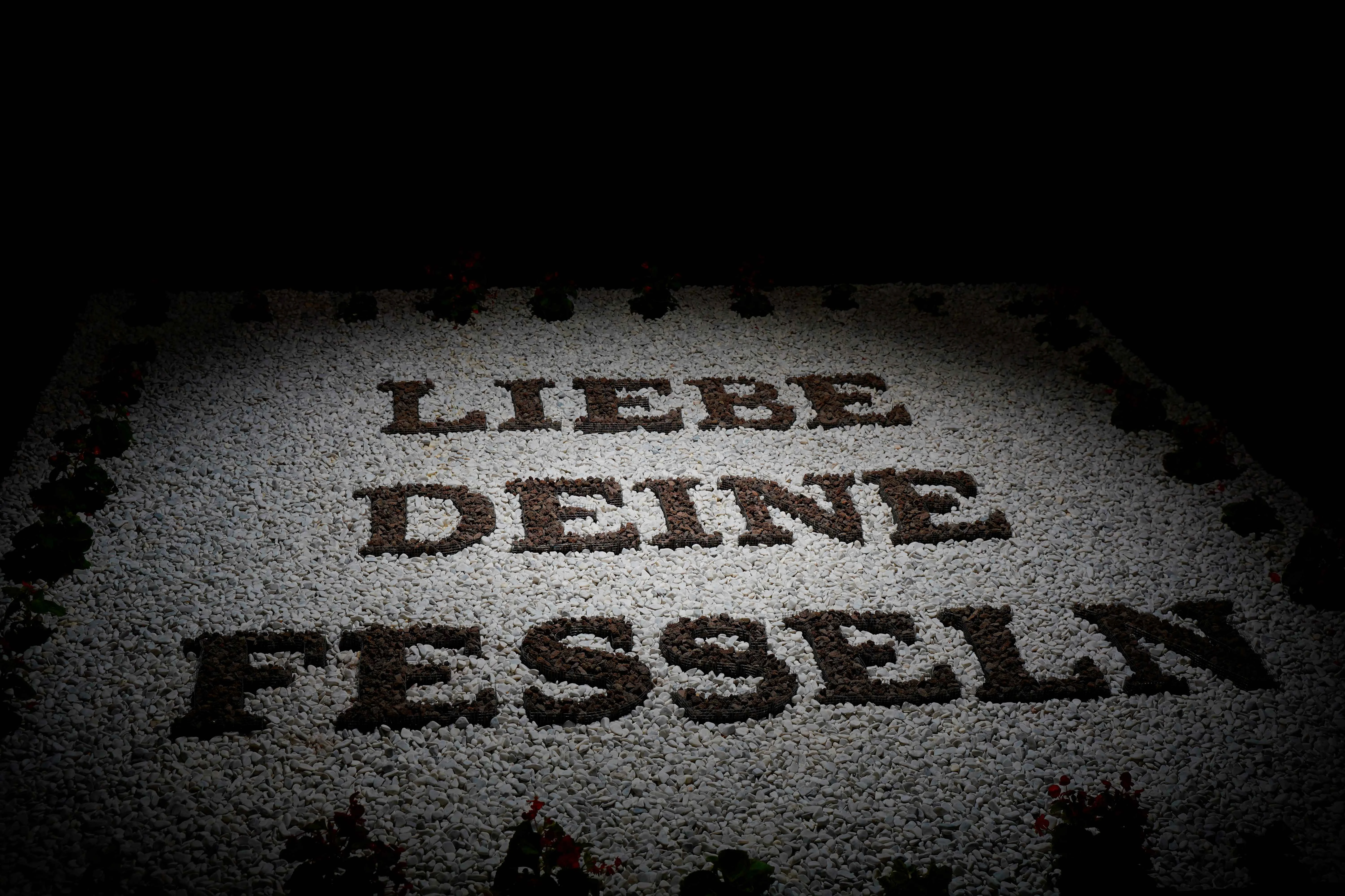 Garten, eben., Benedikt Waldmann, KFZ - Kunst für Zukunft, 2025