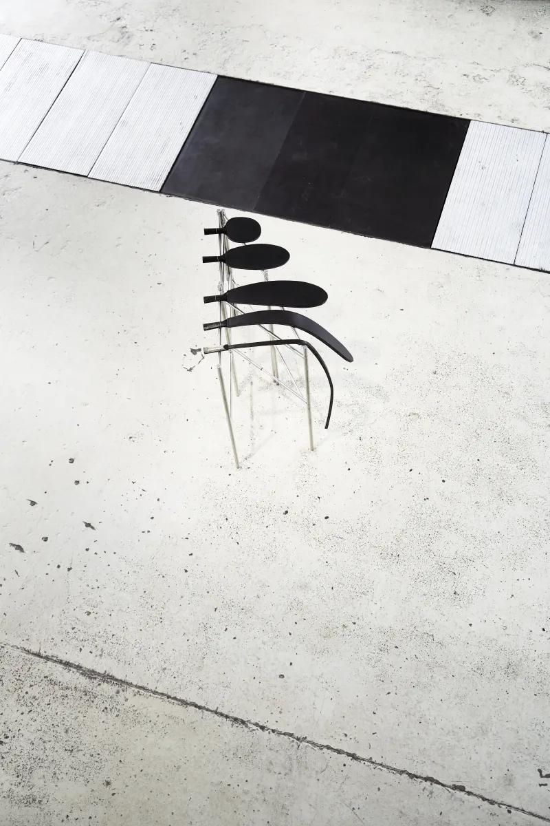 Ausstellungsansicht der Arbeit Domination Evolution von Daniel Theiler, Sept., 2024