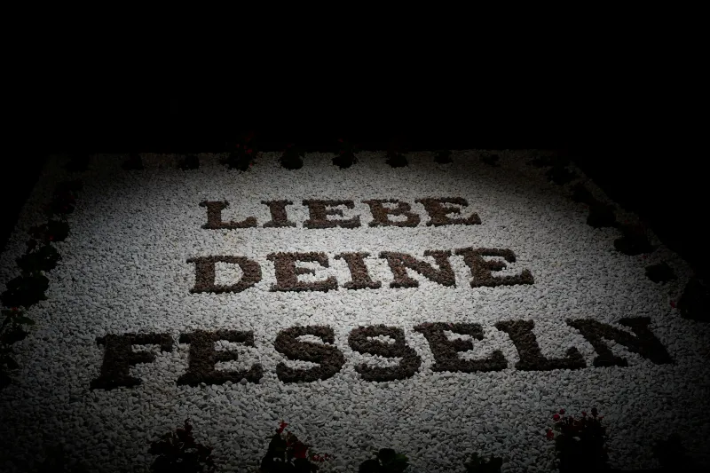 Garten, eben., Benedikt Waldmann, KFZ - Kunst für Zukunft, 2025