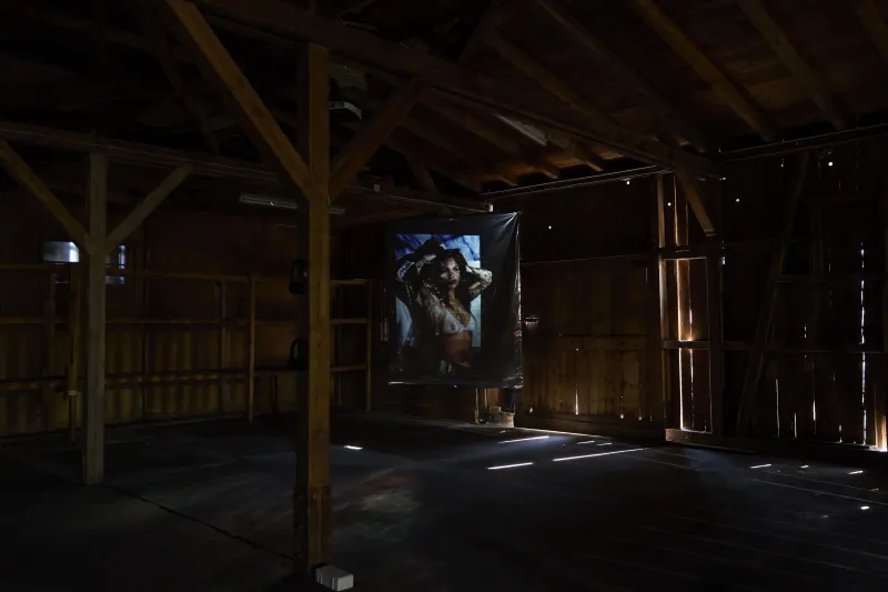Why cant I hold all these projections?, 2023 von Nora Heinisch