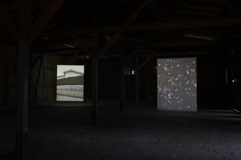 'Haus, Hecke, Horizont', Regina Kelaita, 2026